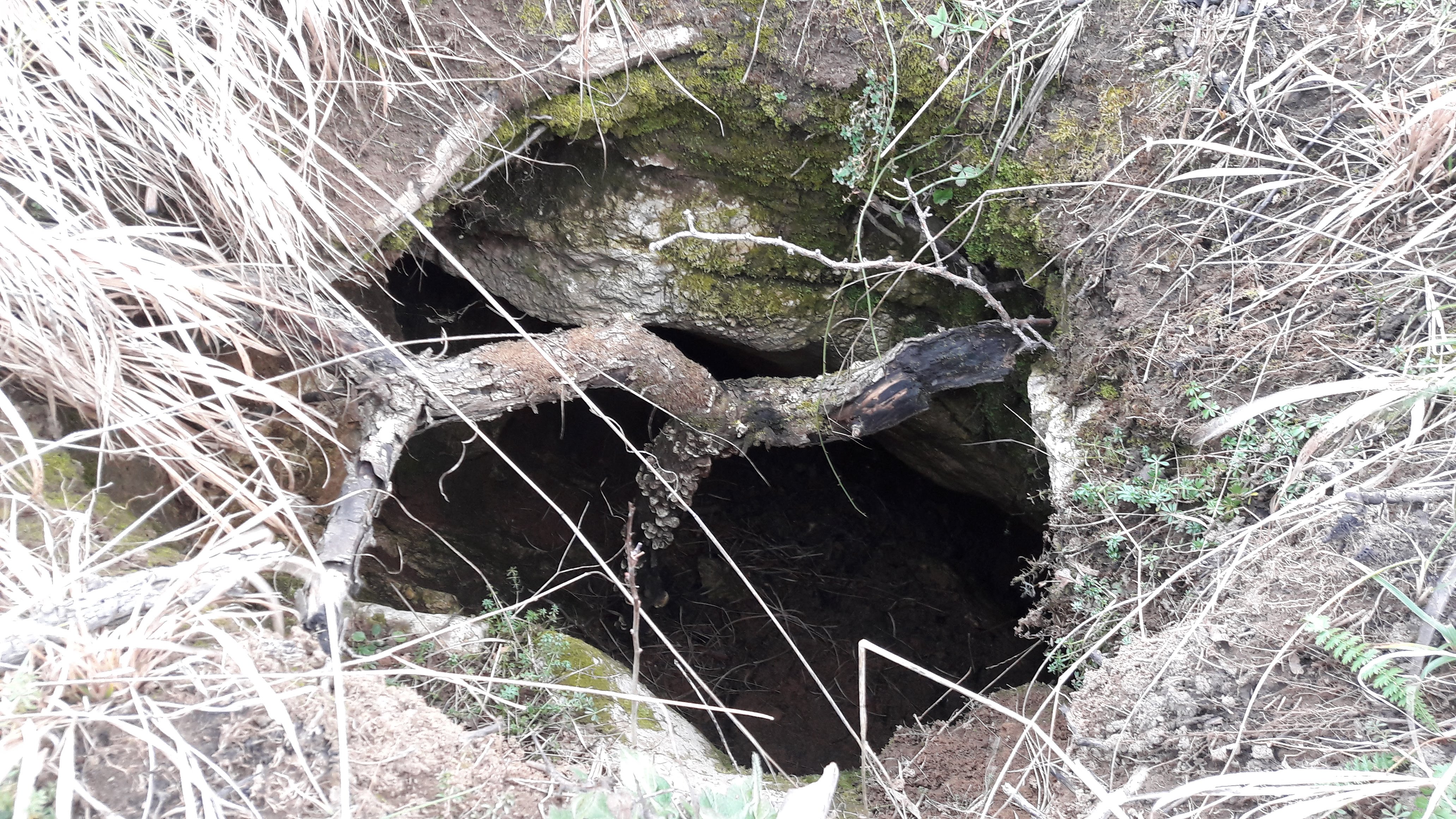 Avenul din Culme (Avenul Mic) - Image 2